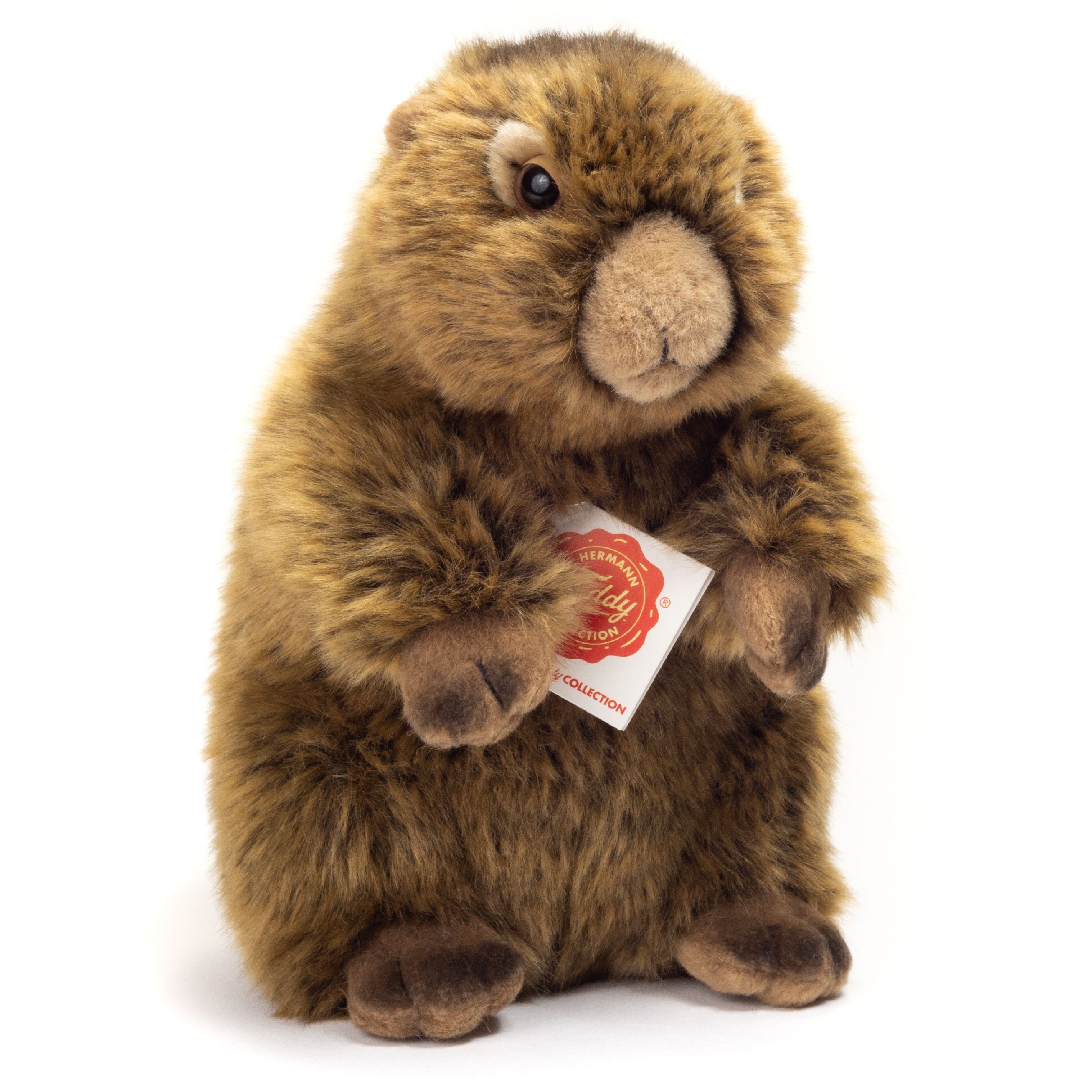 Murmeltier 20 cm