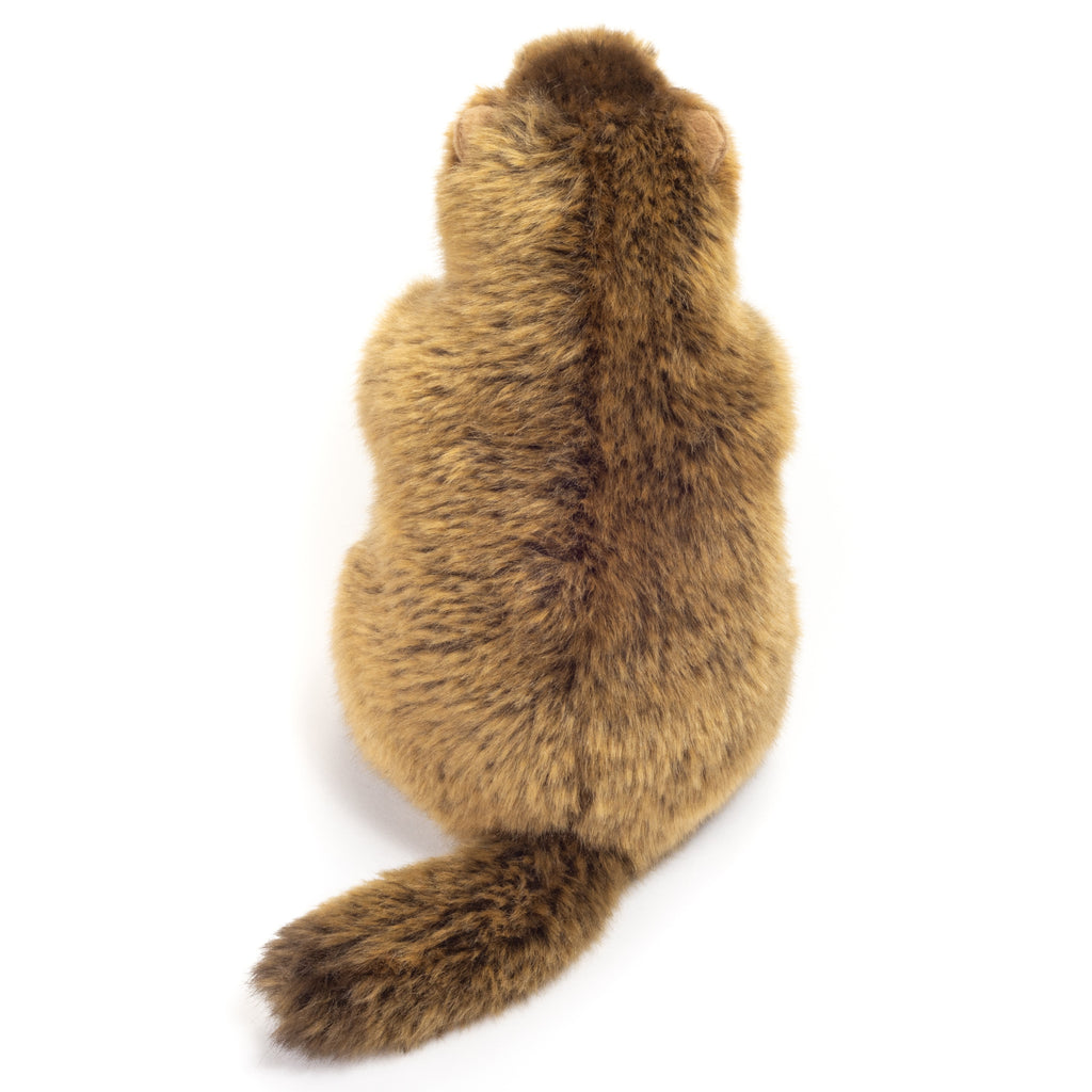 Murmeltier 20 cm