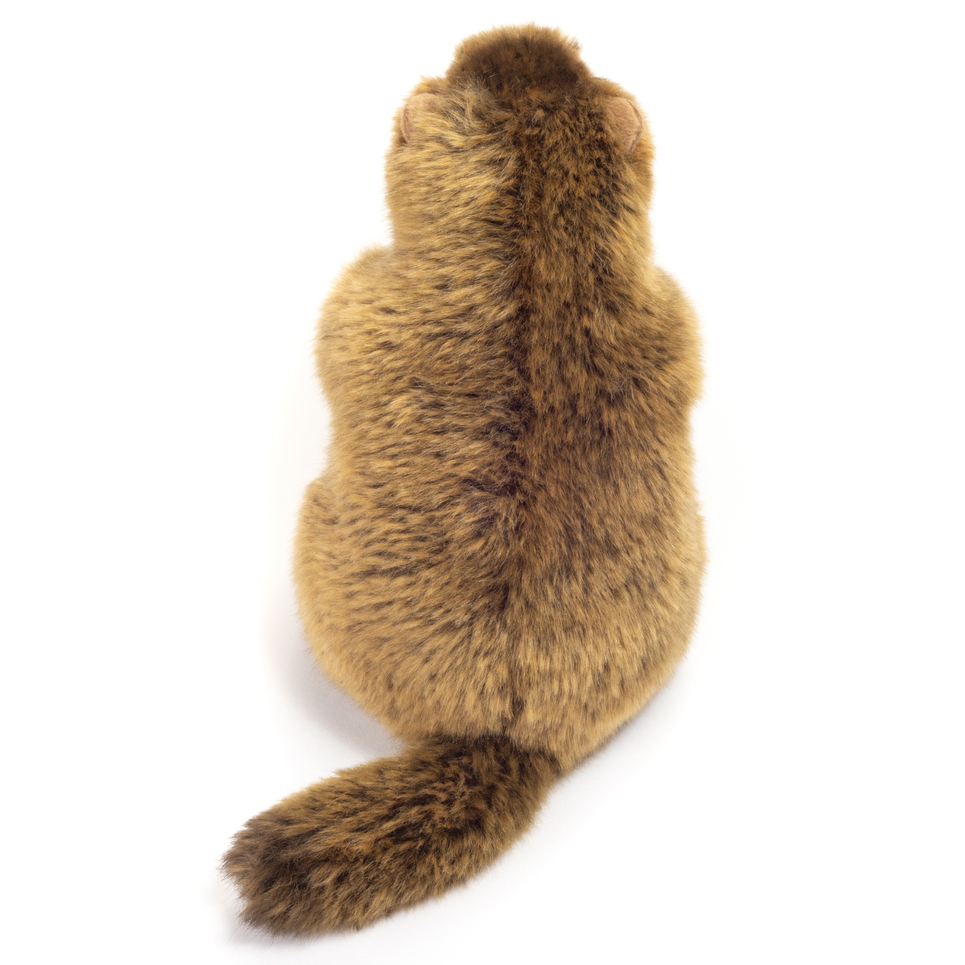Murmeltier 20 cm