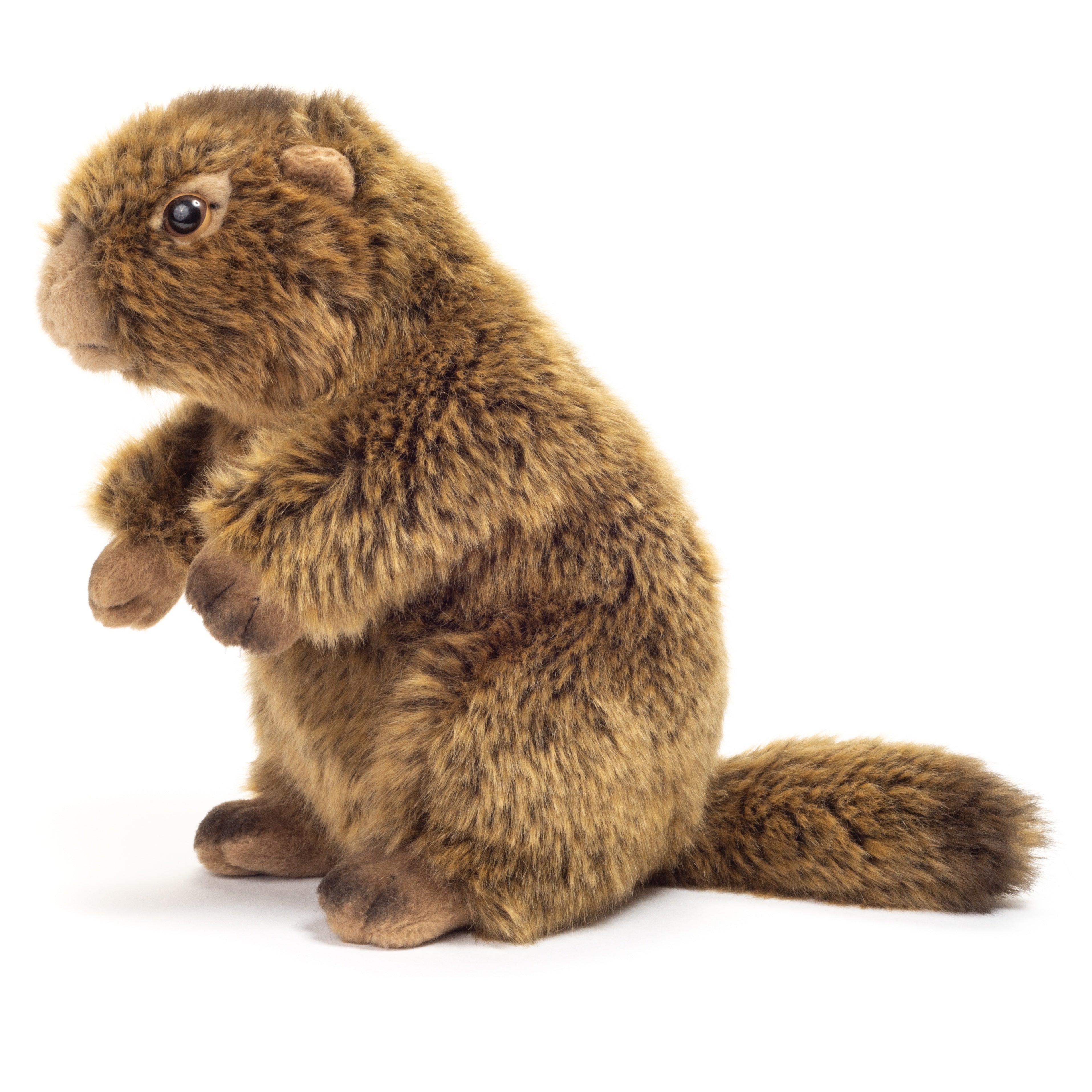 Murmeltier 20 cm