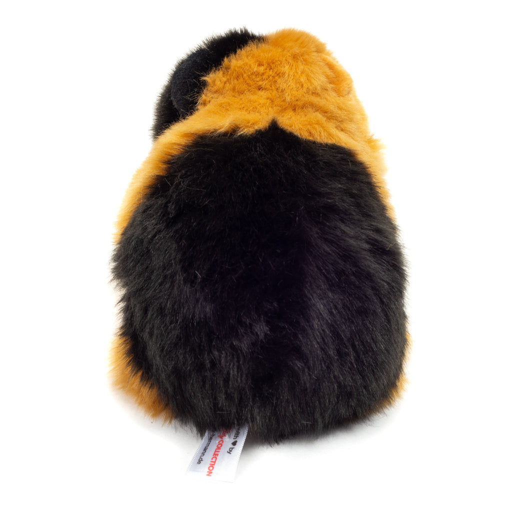 Meerschweinchen schwarz/gold 20 cm