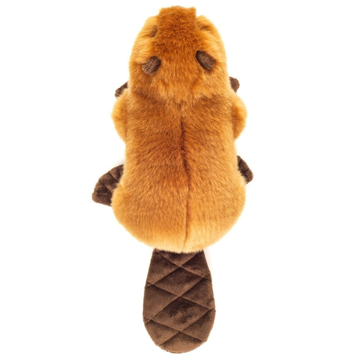 Biber 28 cm