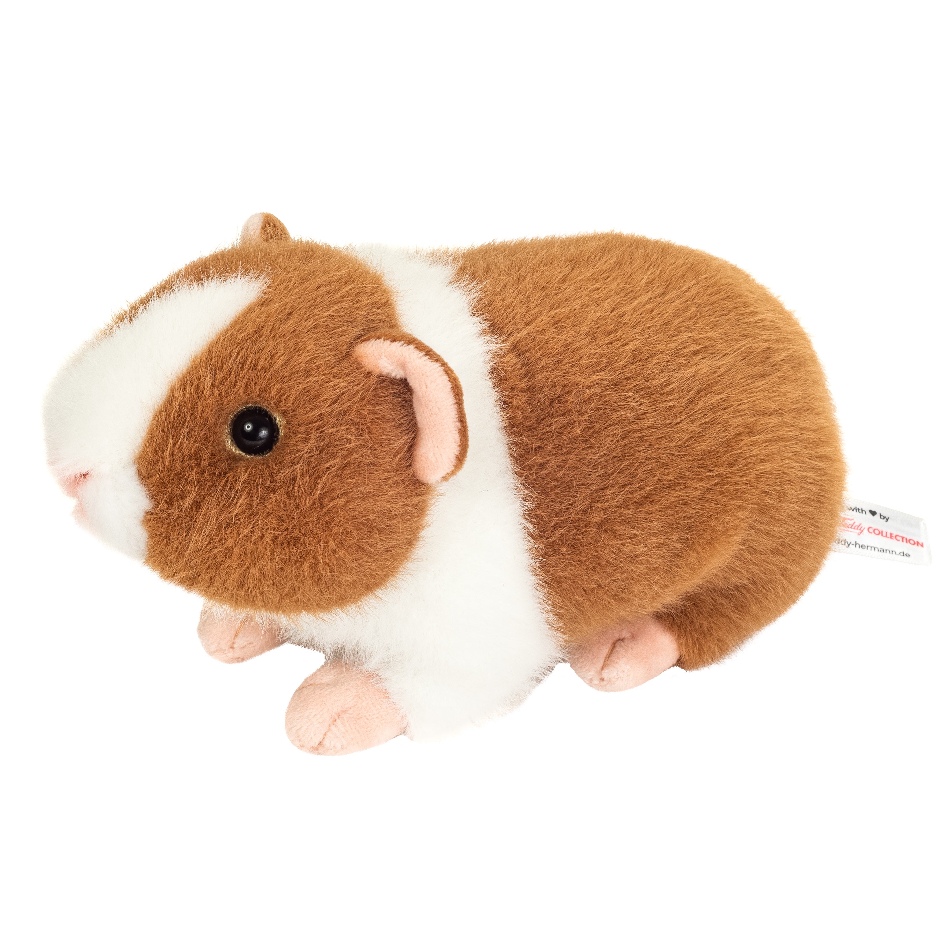 Meerschweinchen hellbraun-weiss 19 cm