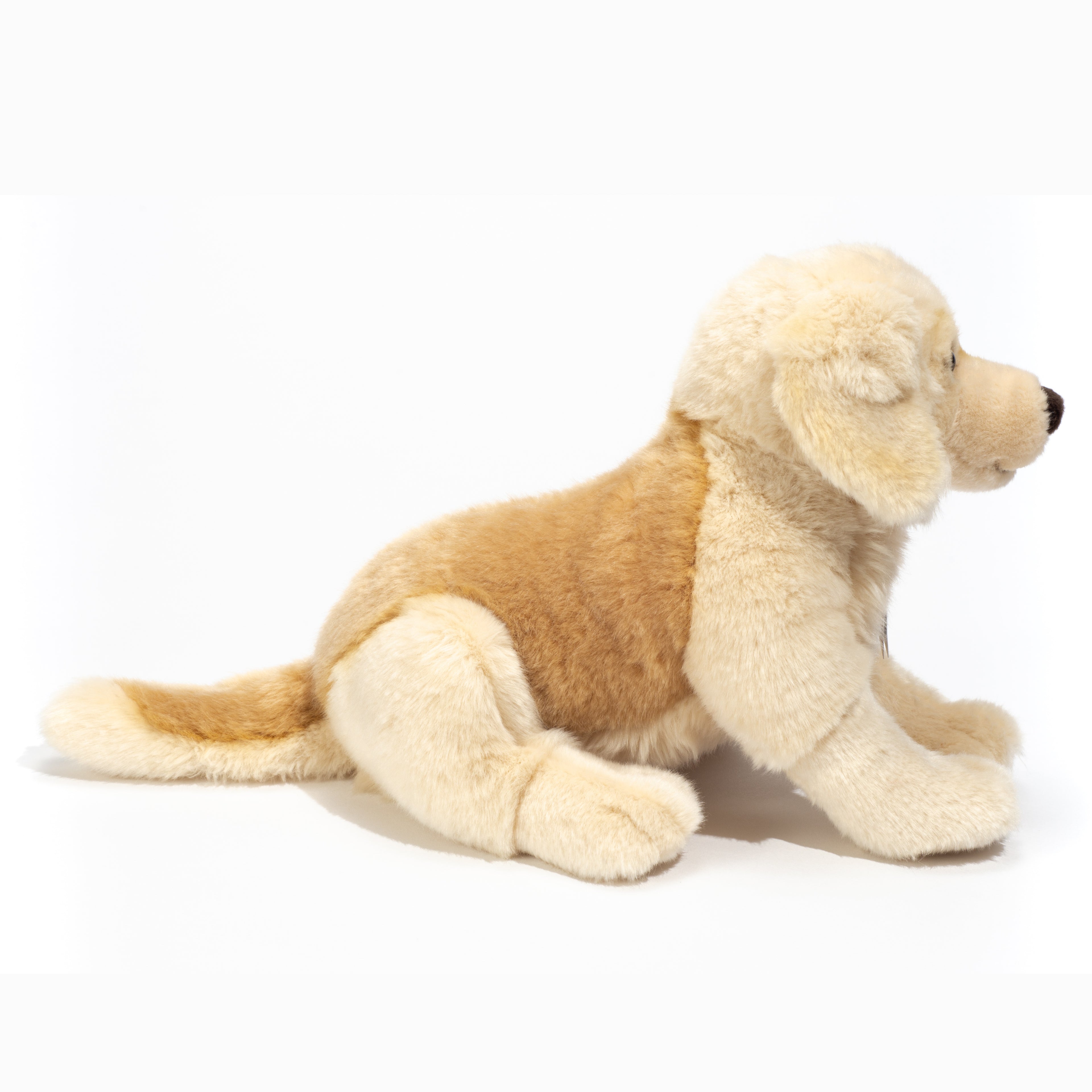 Golden Retriever sitzend 30 cm