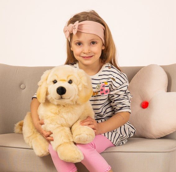 Golden Retriever liegend 60 cm