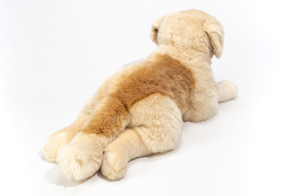 Golden Retriever liegend 60 cm