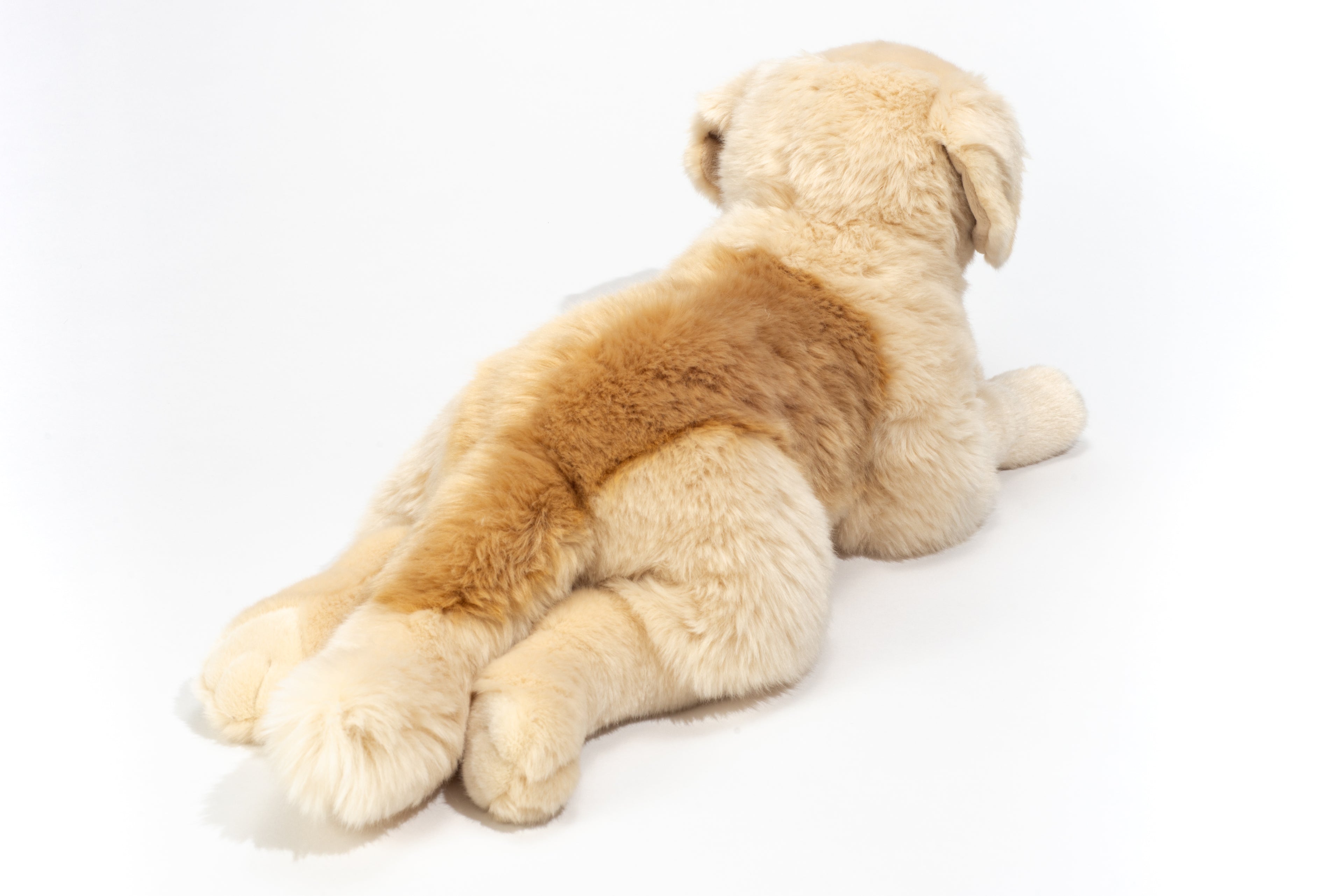 Golden Retriever liegend 60 cm
