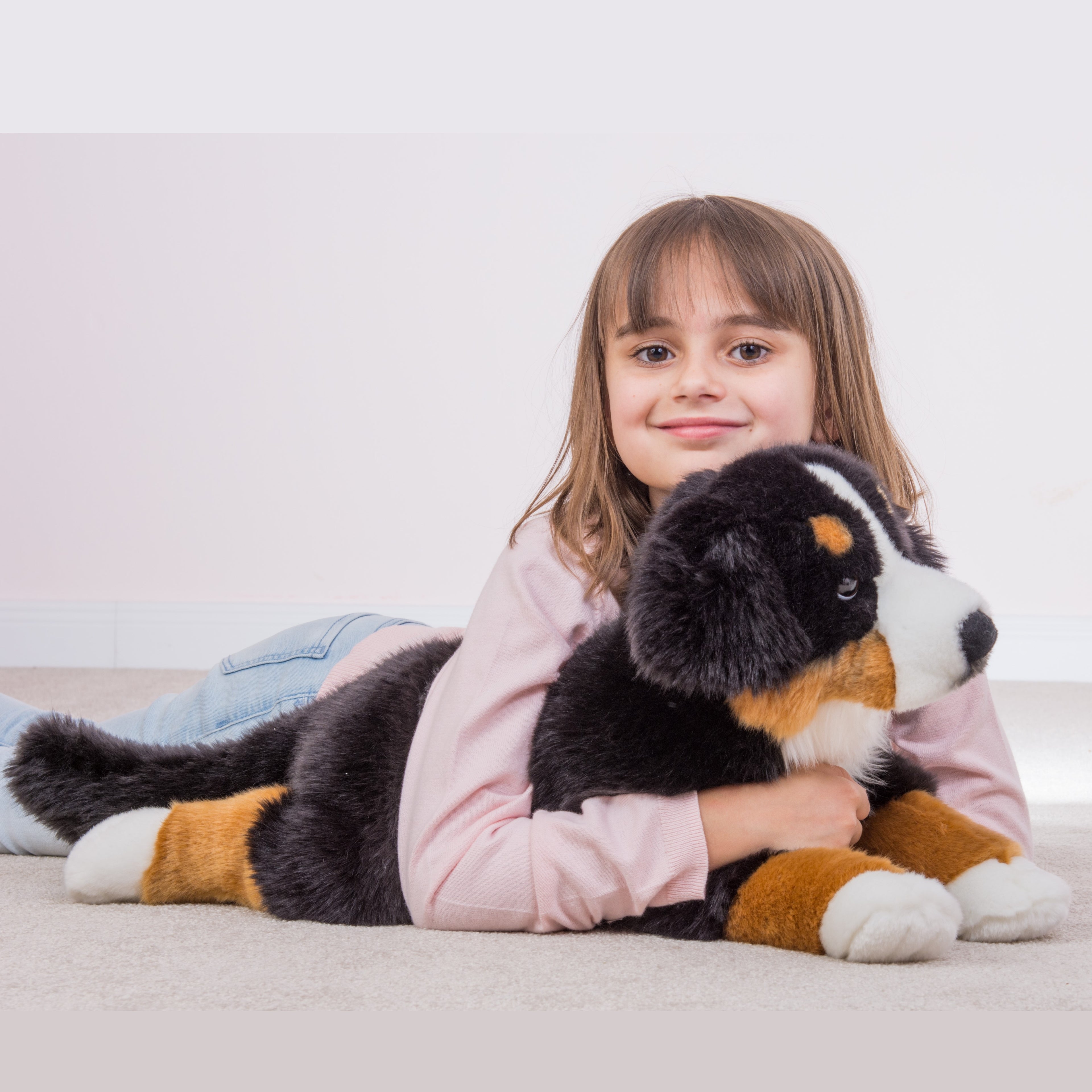 Berner Sennenhund liegend 60 cm