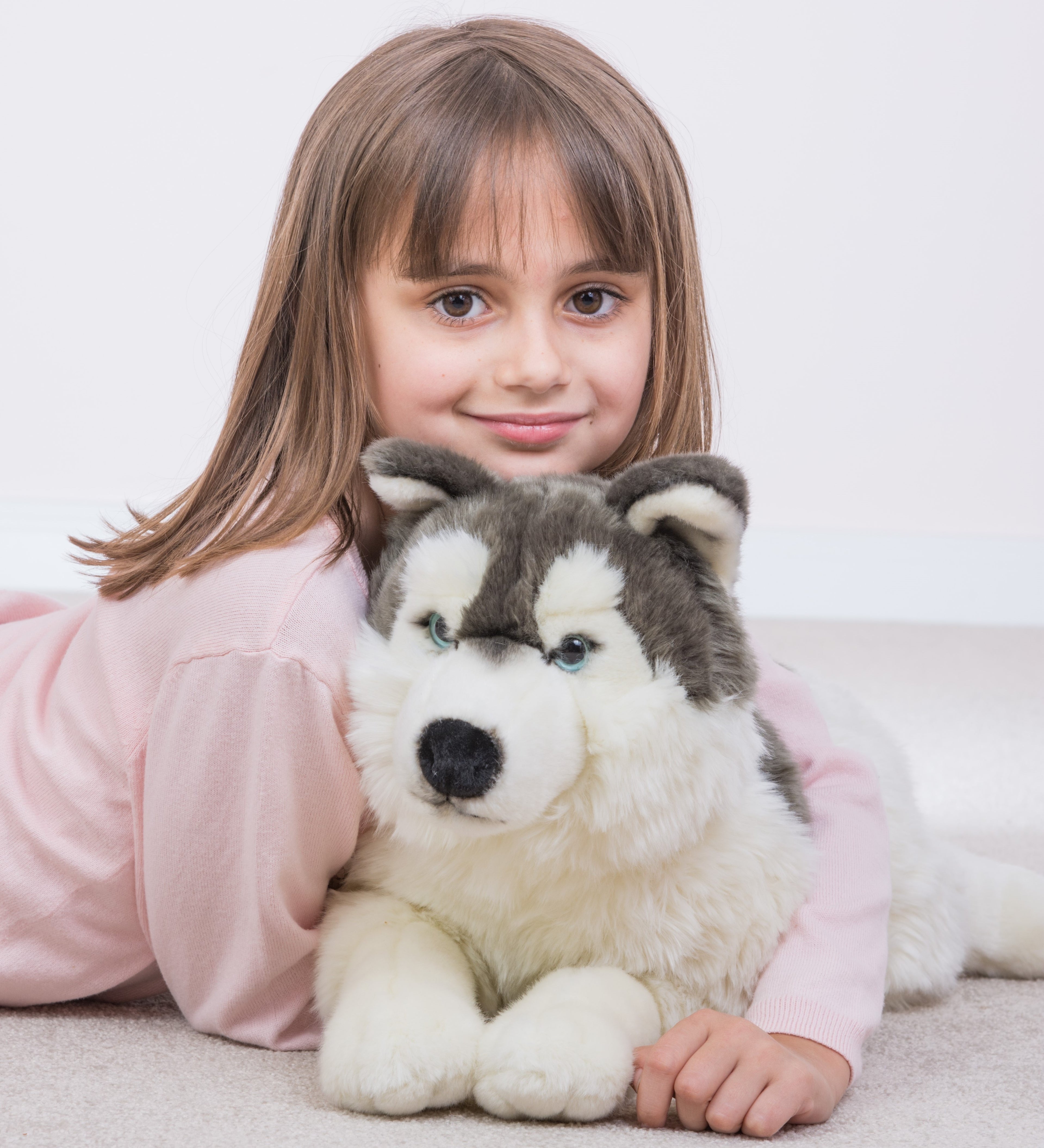 Husky liegend 60 cm