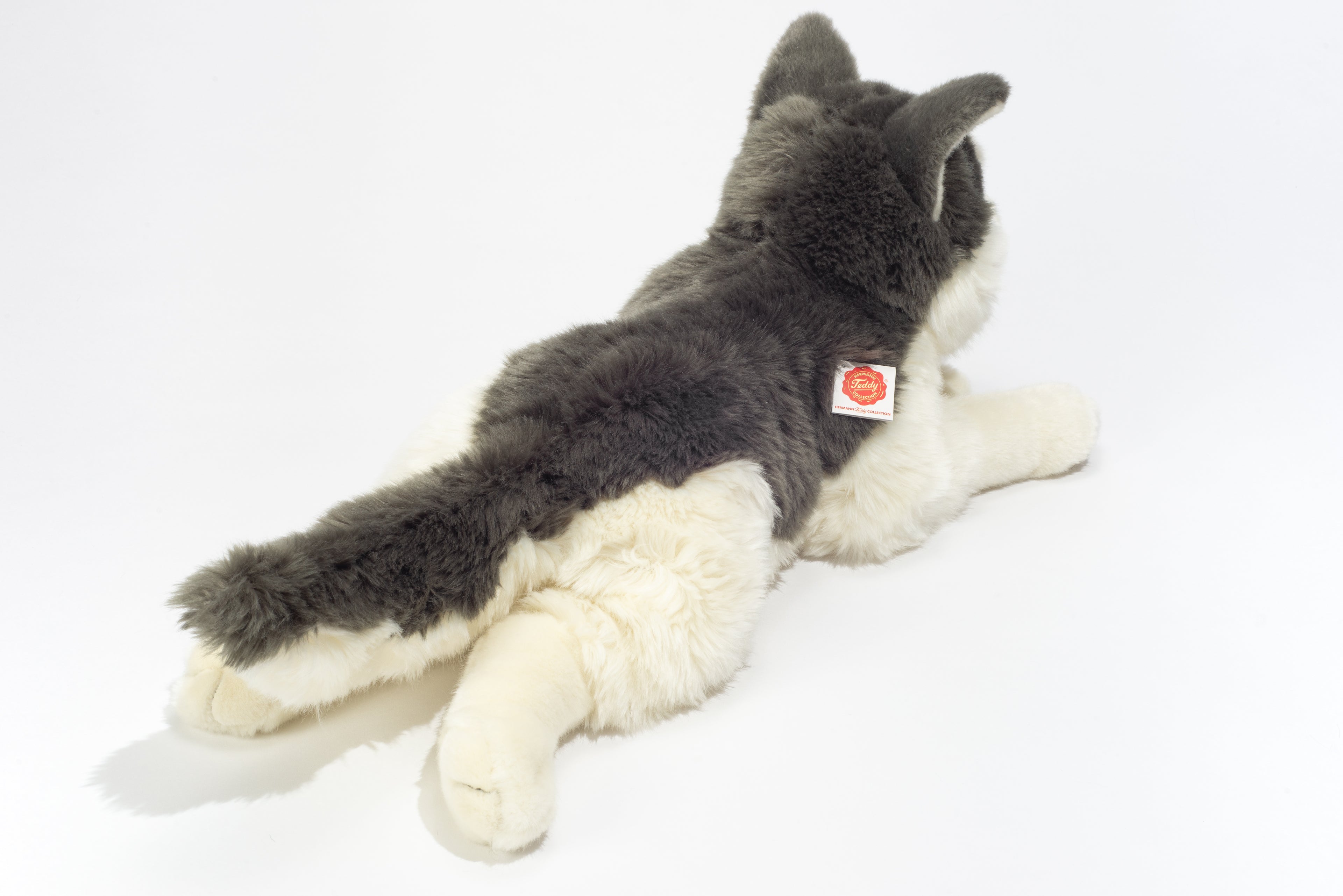 Husky liegend 60 cm