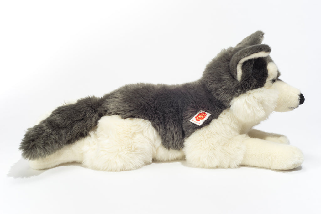 Husky liegend 60 cm