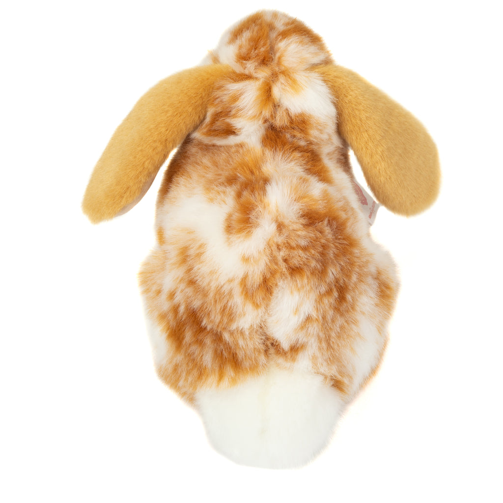 Widderkaninchen hellbraun-weiß gescheckt 23 cm
