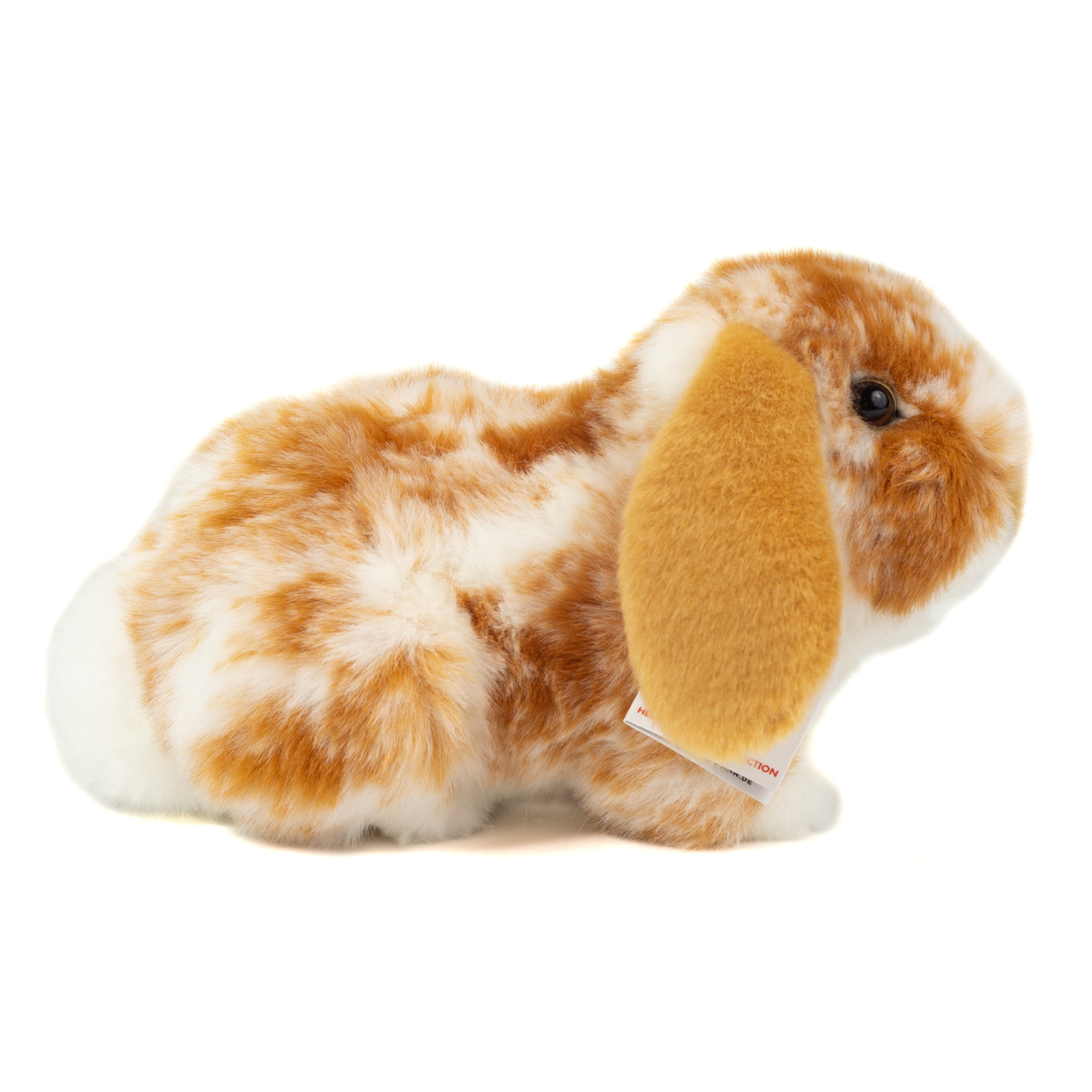 Widderkaninchen hellbraun-weiß gescheckt 23 cm