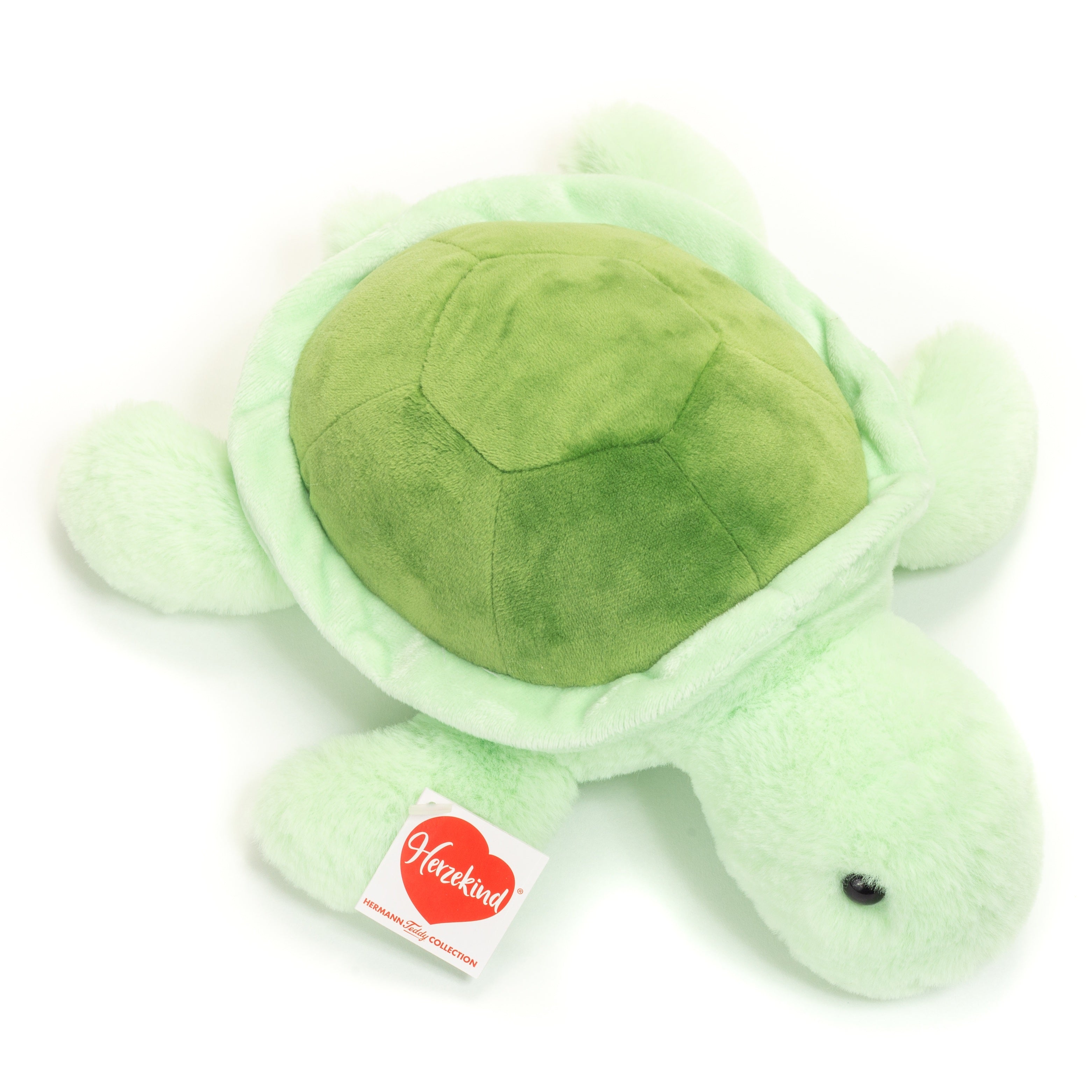 Schildkröte Sandy 30 cm