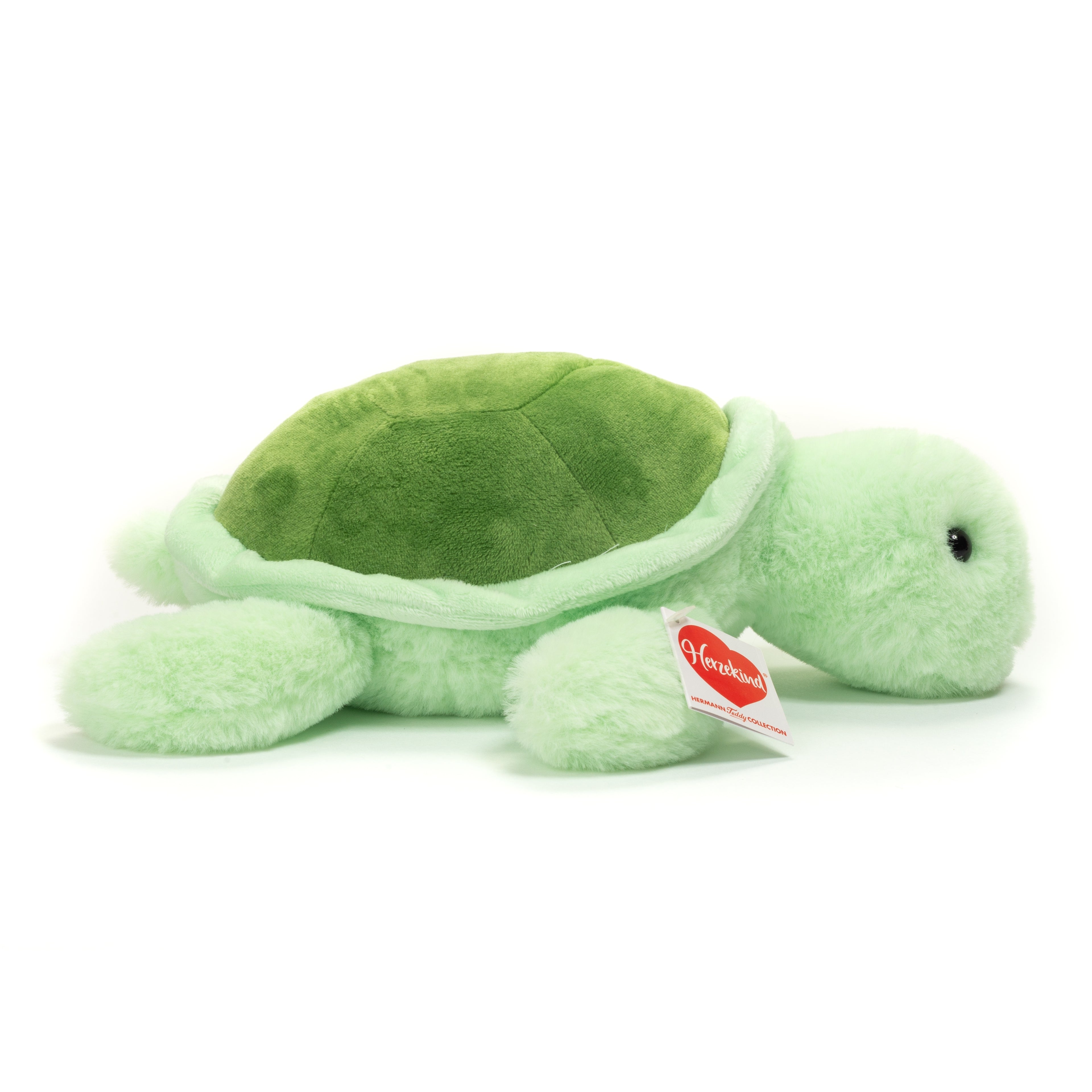 Schildkröte Sandy 30 cm