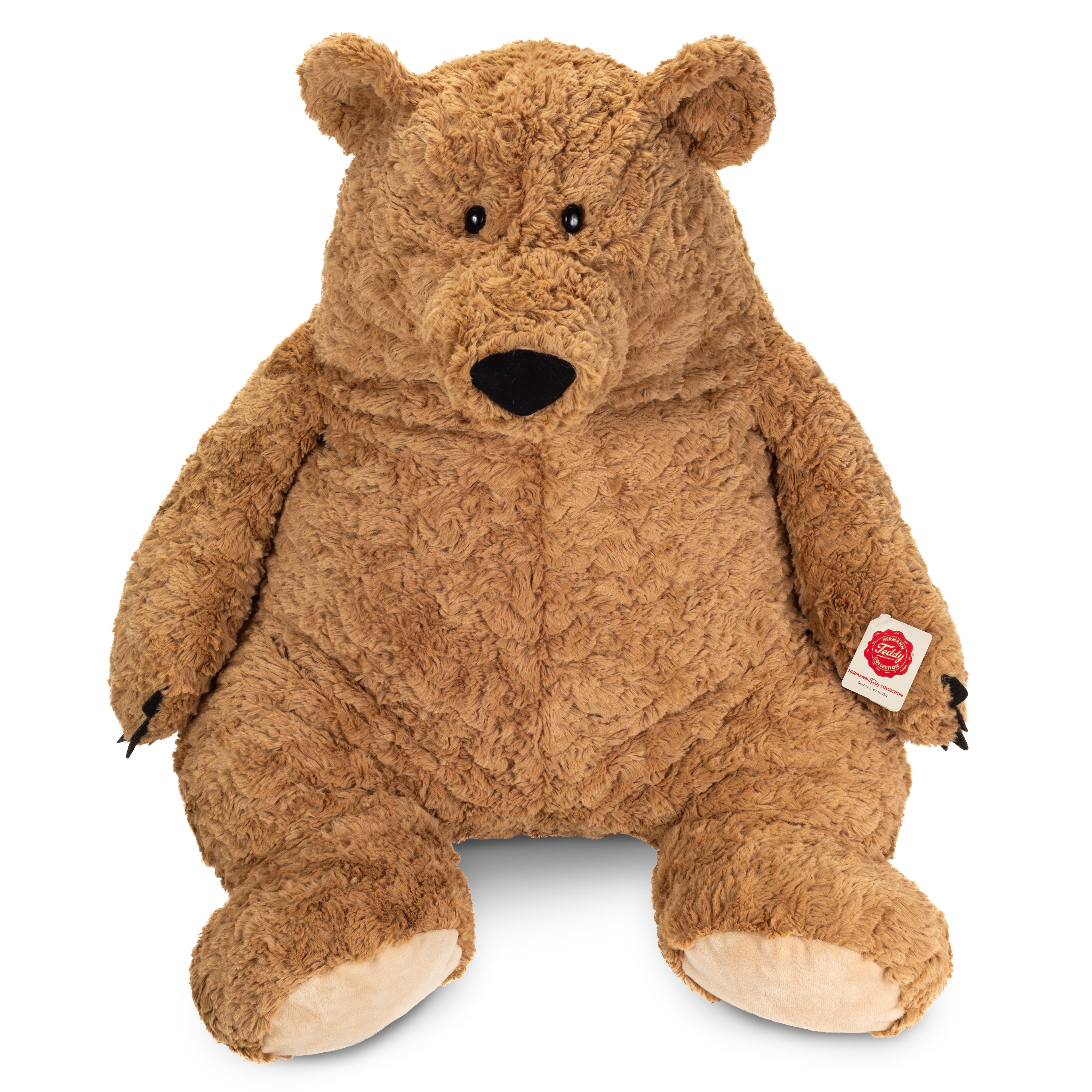 Braunbär James 70 cm