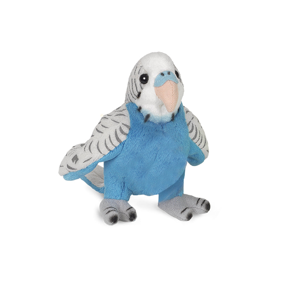 Wellensittich blau 13 cm