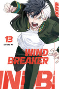 Wind Breaker 13 - Autor: Satoru Nii
