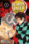 Demon Slayer 04 - Autor: Koyoharu Gotouge, Burkhard Höfler