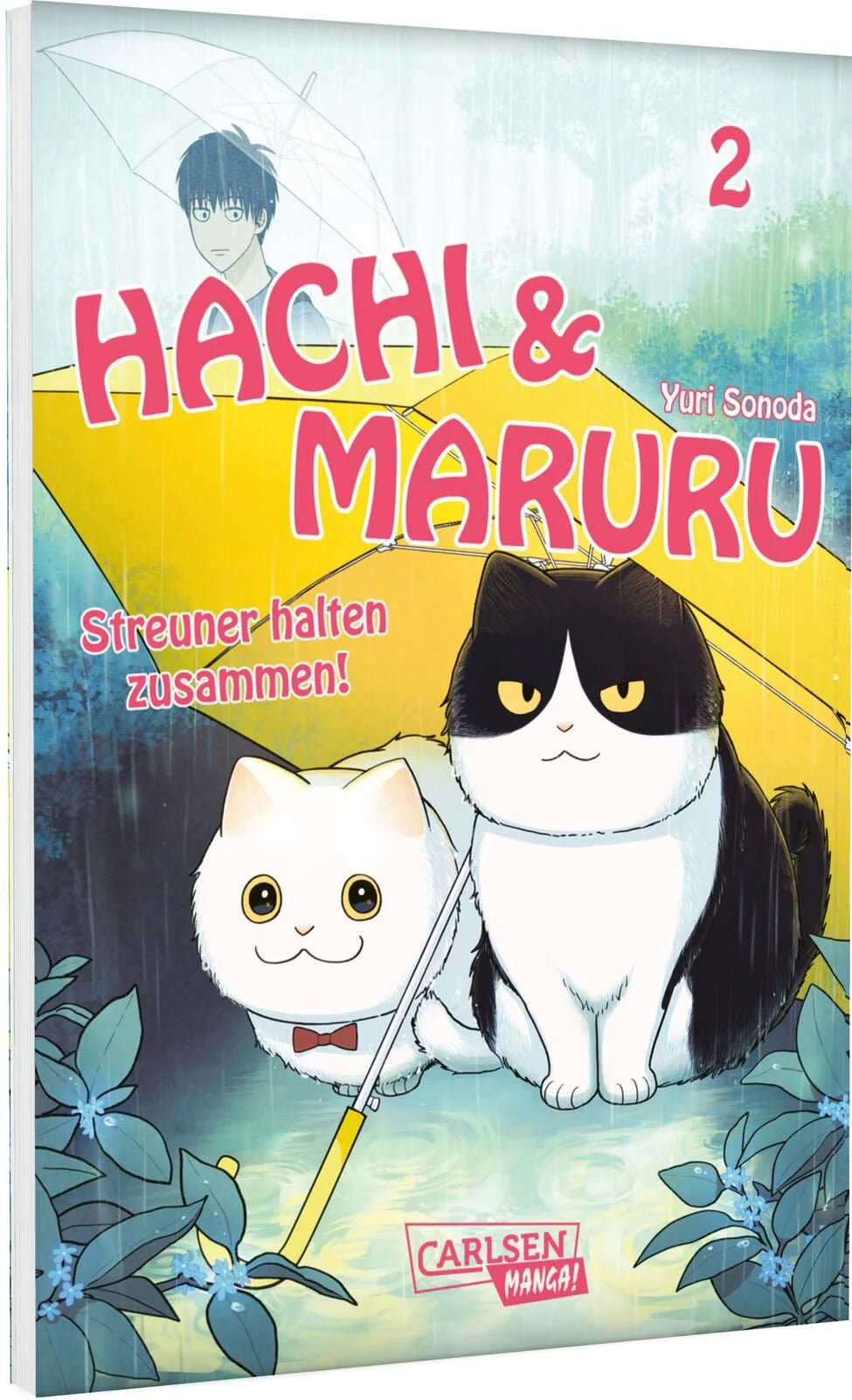 Hachi & Maruru – Streuner halten zusammen! 02 - Autor: Yuri Sonoda