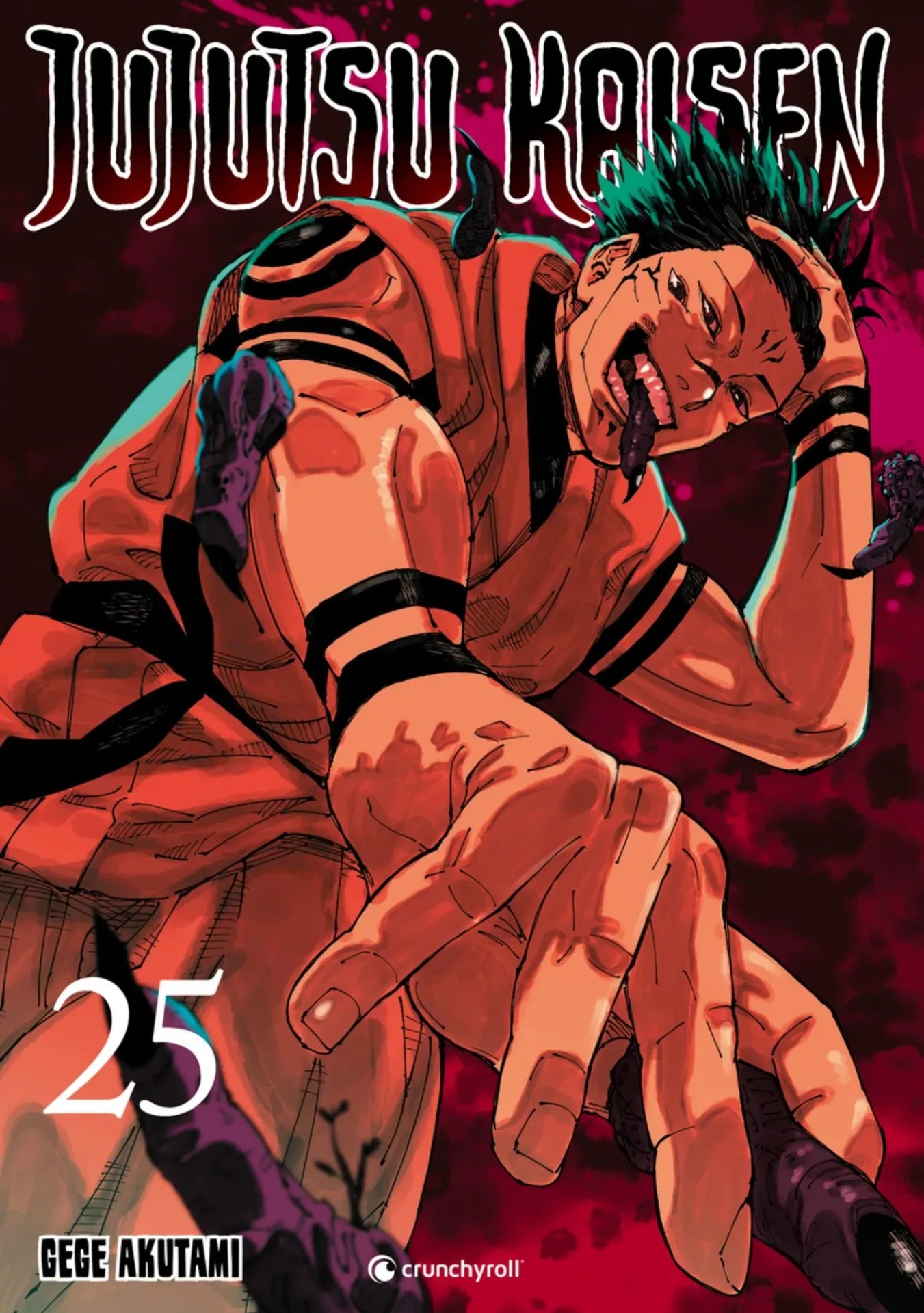Jujutsu Kaisen 25  -  Autor: Gege Akutami