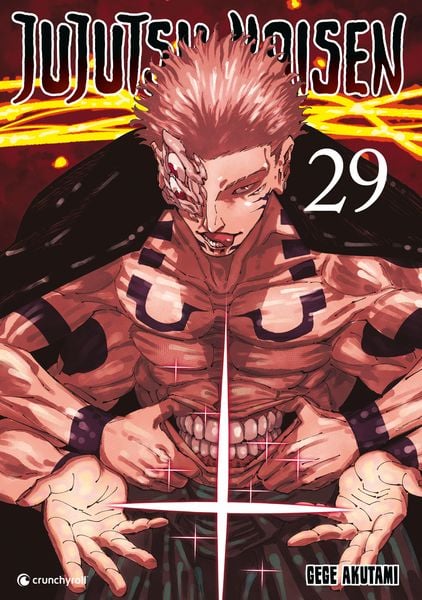 Jujutsu Kaisen 29  -  Autor: Gege Akutami