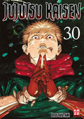 Jujutsu Kaisen 30 (Finale)  -  Autor: Gege Akutami