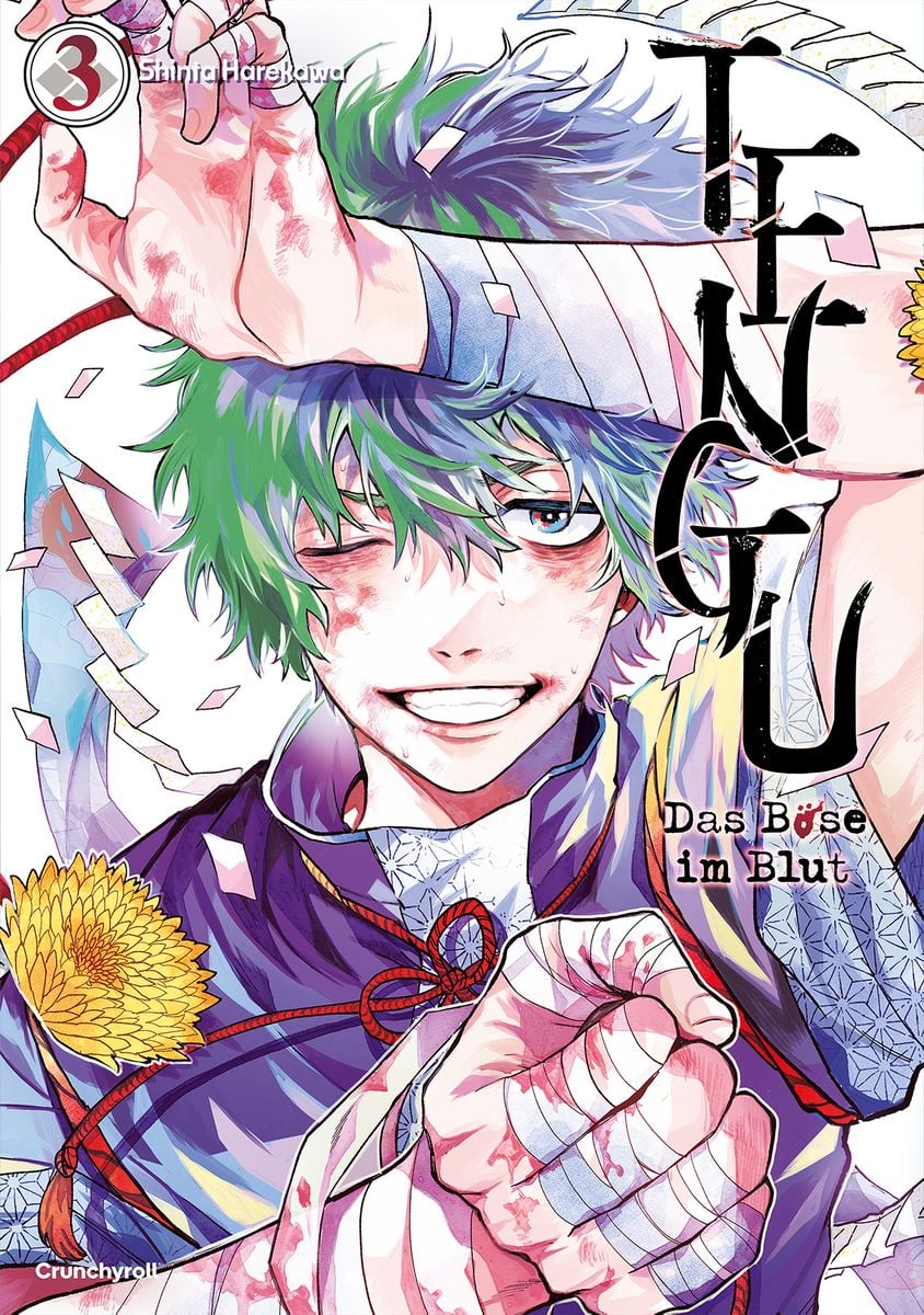 Tengu - Das Böse im Blut 03  -  Autor: Shinta Harekawa